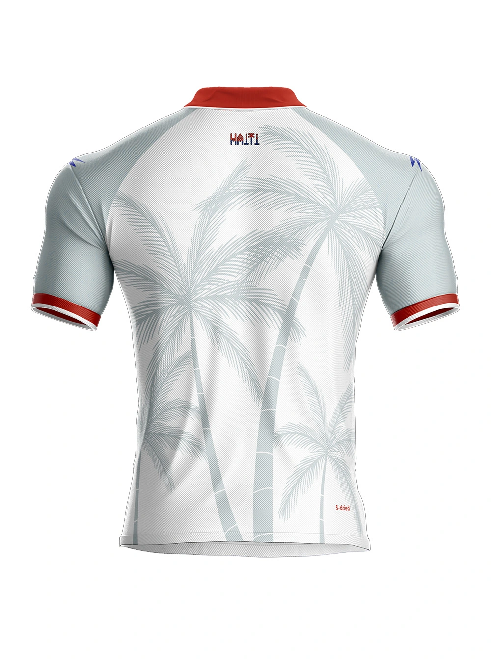 2026 Men's Authentic Haiti National Soccer Team Jersey White